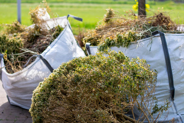 Best Electronics Removal Services  in Skidaway Island, GA